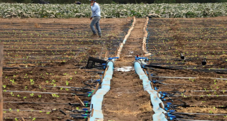 Lanzan más de $1600 millones de pesos para bonos de riego para la pequeña agricultura en La Araucanía