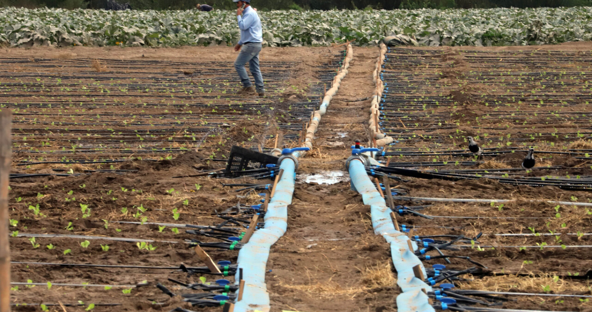 Lanzan más de $1600 millones de pesos para bonos de riego para la pequeña agricultura en La Araucanía