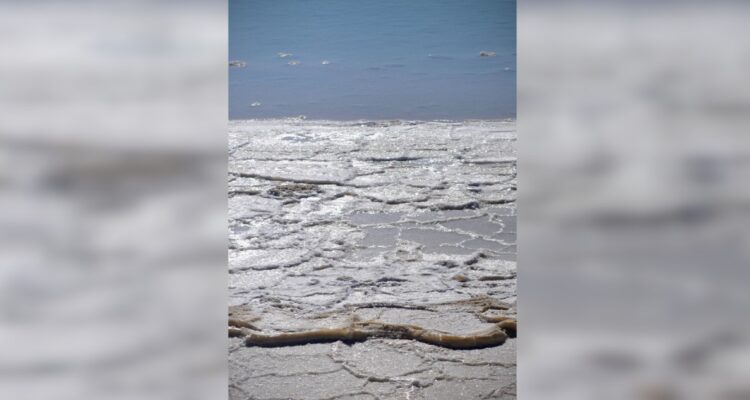 La empresa estatal mexicana del litio alista su puesta en marcha y buscará asociatividad con Chile