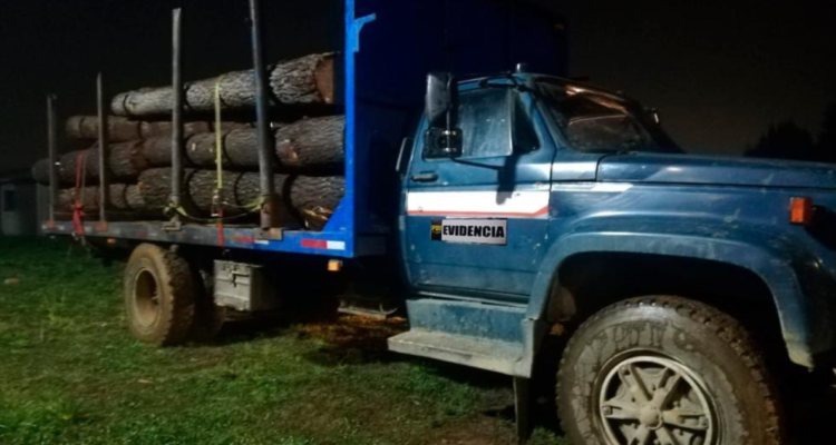 robo madera Los Ríos