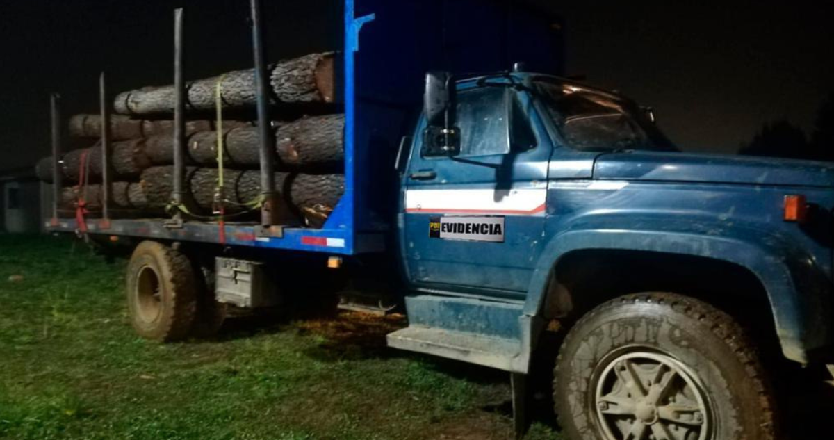 robo madera Los Ríos