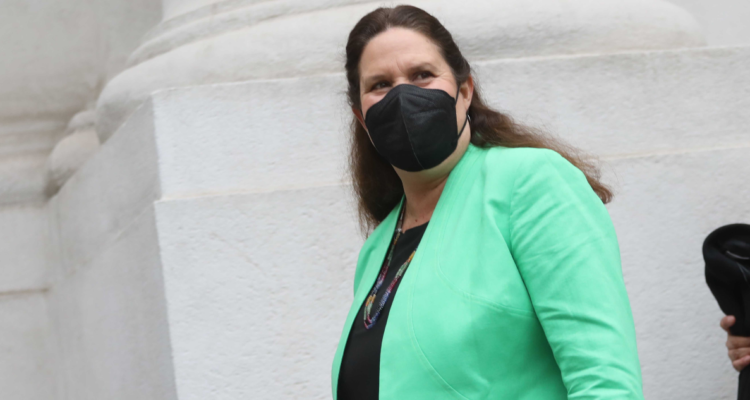 Maya Fernández, ministra de Defensa.