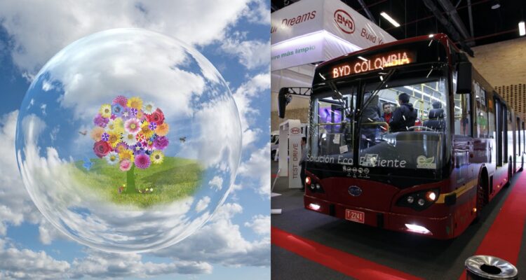 Menos carne, más electromovilidad: El BID da sugerencias para que América sea más “más verde”