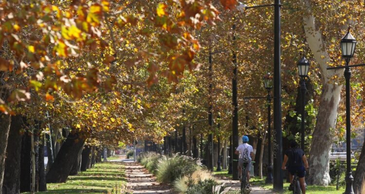 Metro buscará no afectar al Parque Forestal con estación de futura Línea 7