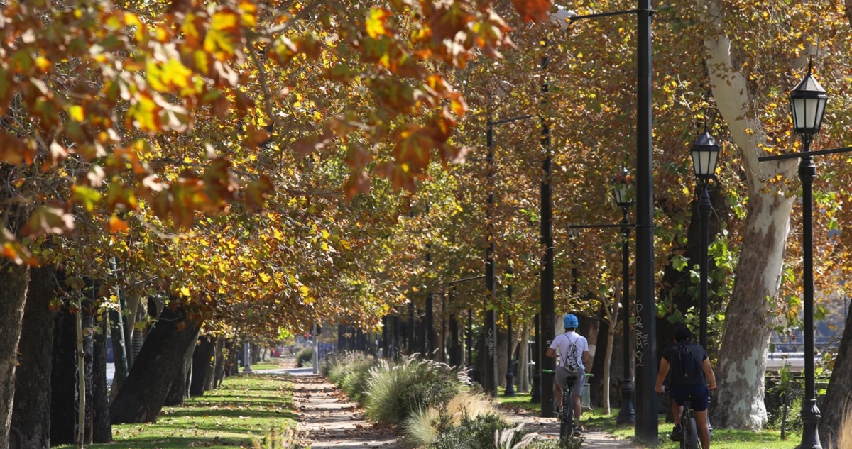 Metro buscará no afectar al Parque Forestal con estación de futura Línea 7