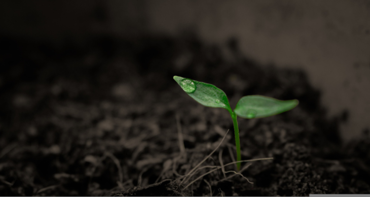 No puede haber perdedores