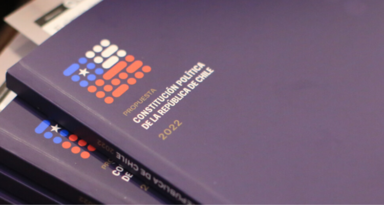 nueva constitucion
