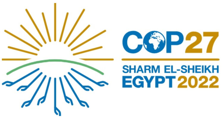 Logo COP27
