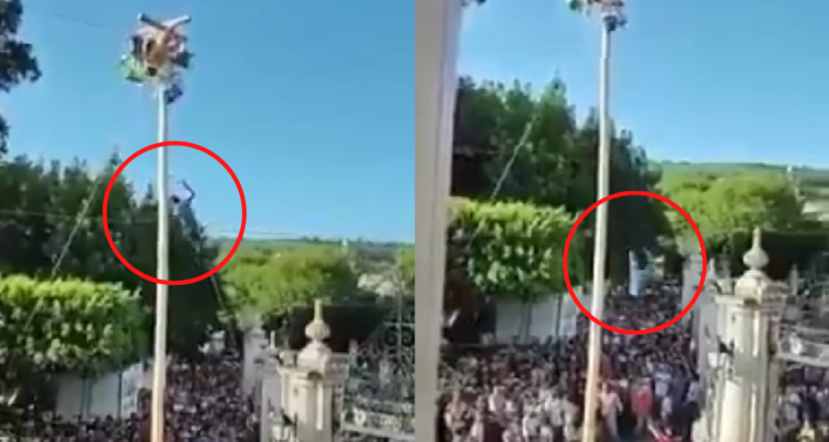 Cae de un palo encebado