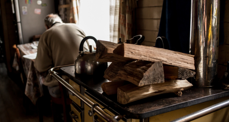 Parlamentarios de la región de Los Lagos aseguran que leña debe ser declarada combustible