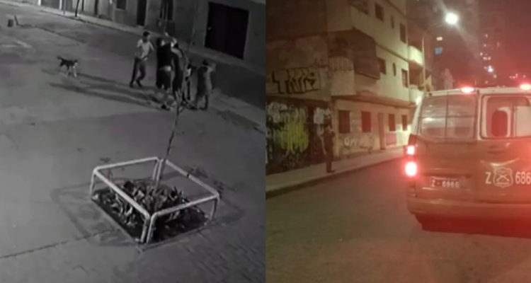 Rectora de la UTEM interpone denuncia penal por el homicidio de estudiante en el Parque Almagro