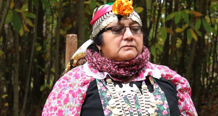 Elisa Avendaño Curaqueo