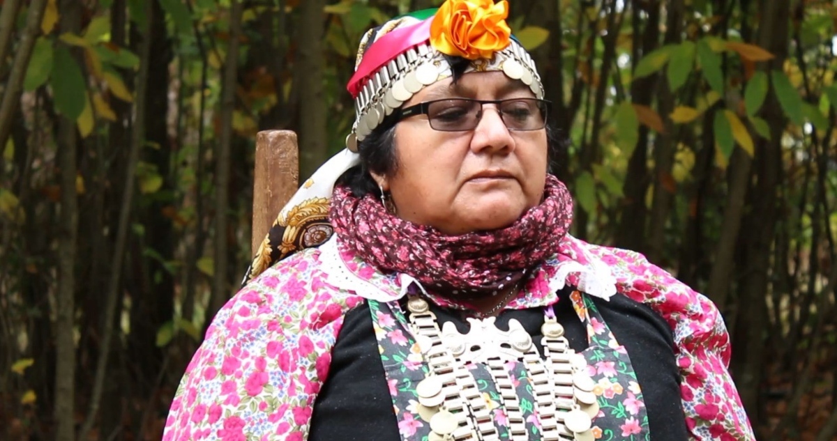 Elisa Avendaño Curaqueo