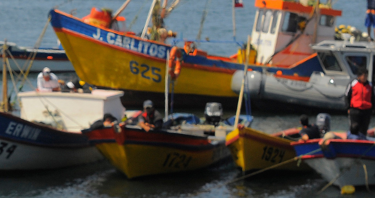 Primer conversatorio para crear nueva Ley de Pesca será en Puerto Montt