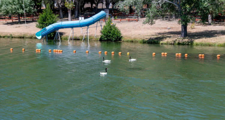 Reabren Laguna Avendaño