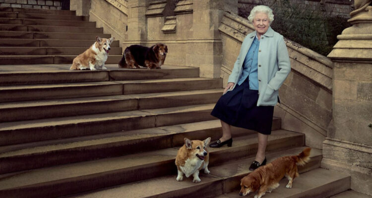 La reina Isabell y cuatro perros en la entrada de uno de los castillos.