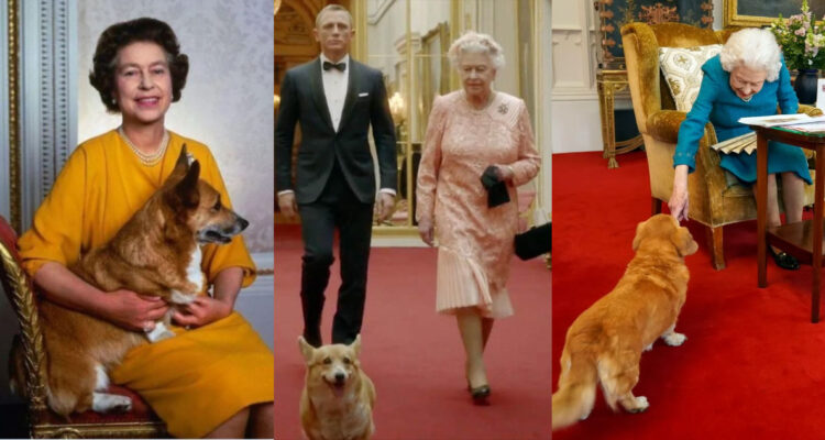 La Reina Isabel II junto a algunos de sus perros. Los Corgis eran el gran amor de la monarca.