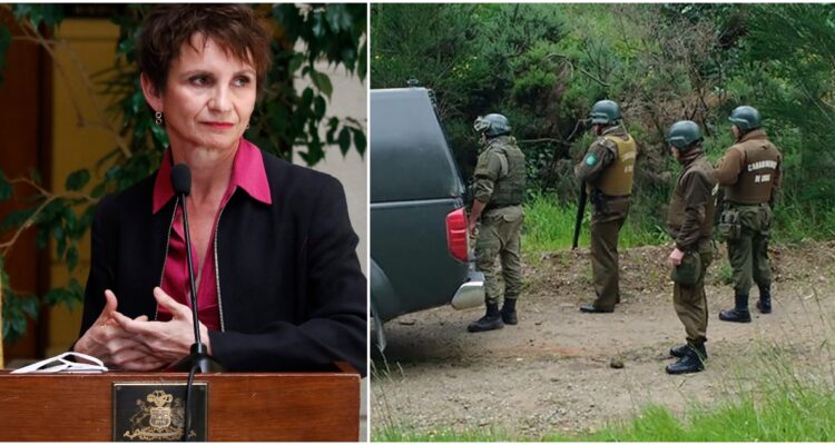 Tohá confirma querella por ataque armado en Tirúa