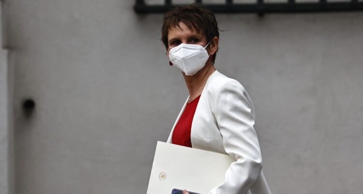 tohá visita la araucanía