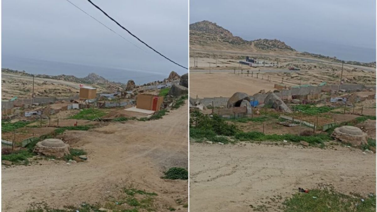 Cedida