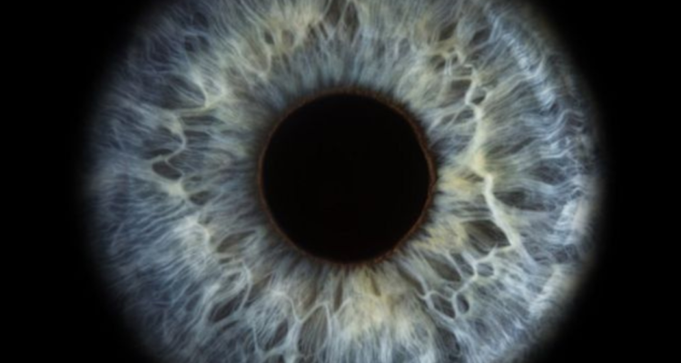 Tratamiento desgaste de la retina