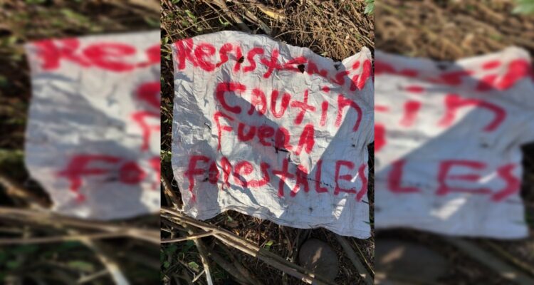 Supuesta nueva agrupación se adjudicó descarrilamiento de tren con madera en Perquenco