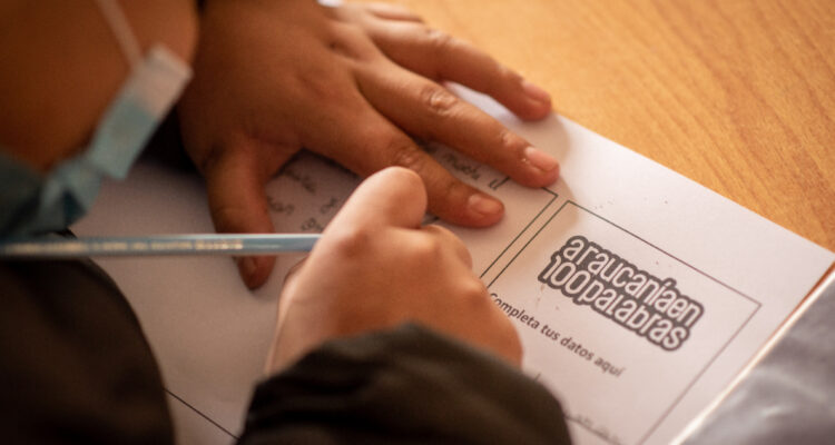 Últimas actividades de Araucanía en 100 palabras