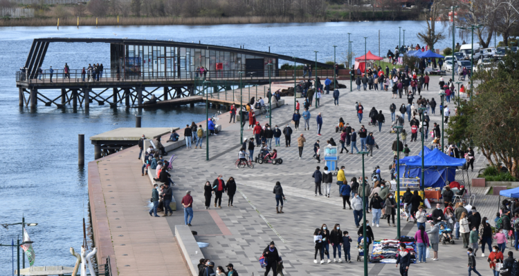 Valdivia asaltos robos vecinos