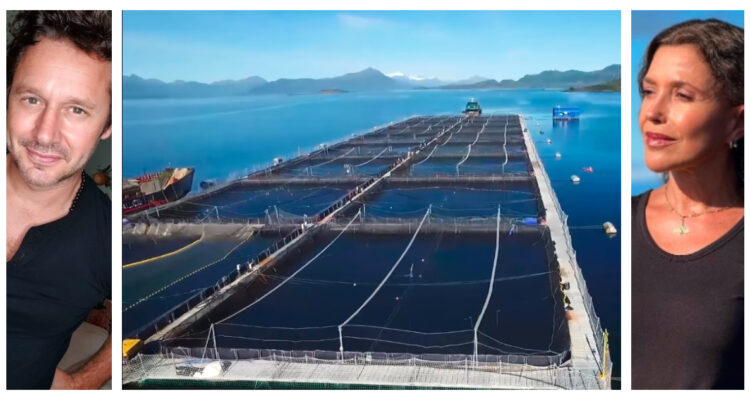 Salmones en Reserva Kawésqar