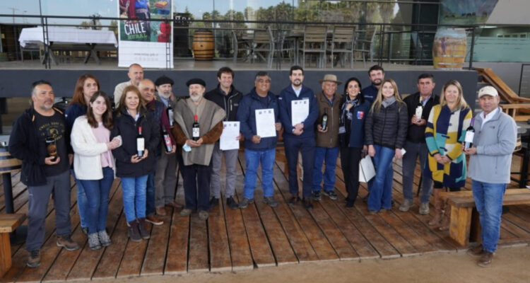 Vinos campesinos llegarán a tienda de viña en Colchagua