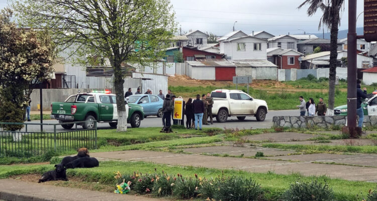 Niño de 5 años muere atropellado en Cañete