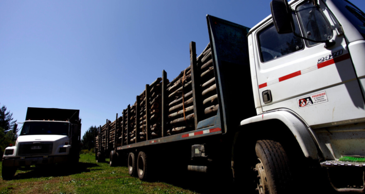 Audiencia de apelación contra cautelares de El mentolato