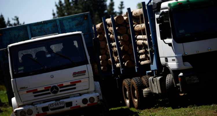 arresto domiciliario