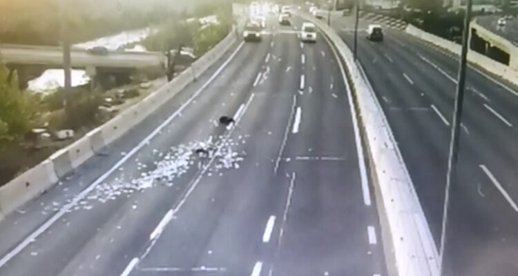 Delincuentes lanzaron $10 millones en la Costanera Norte para no ser detenidos: igual los capturaron