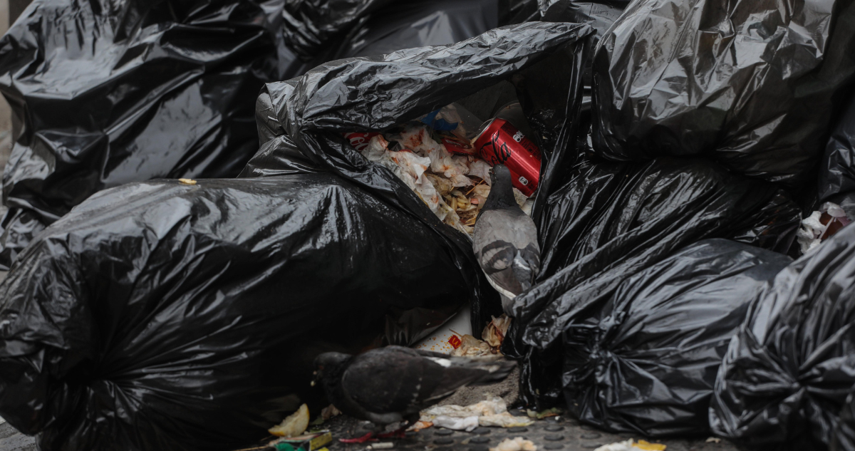 basura Puntra El Roble
