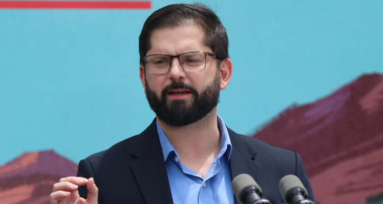 Boric Ley de Usurpaciones