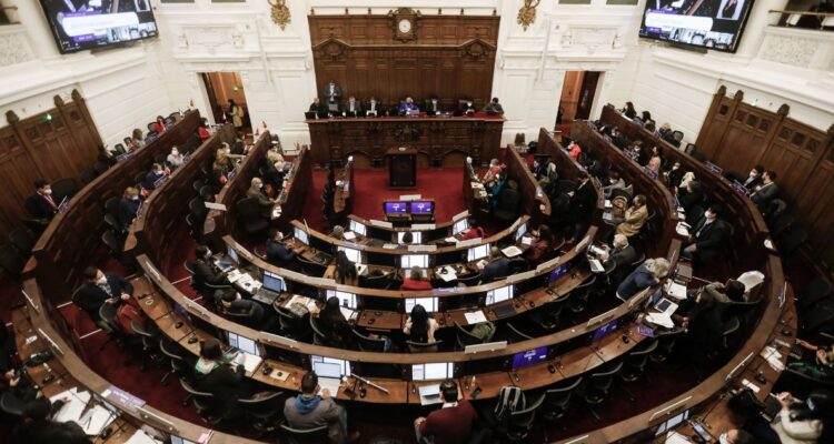 cadem nueva constitución