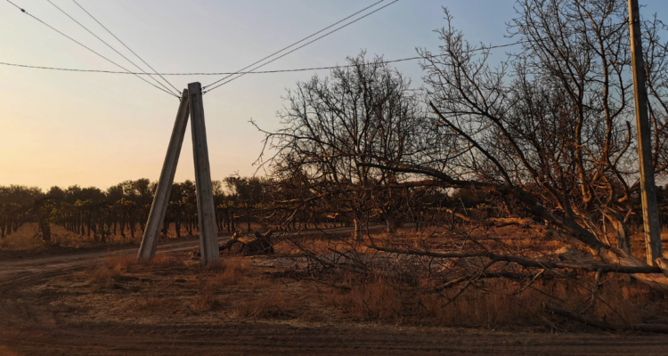 caminos rurales Quemchi