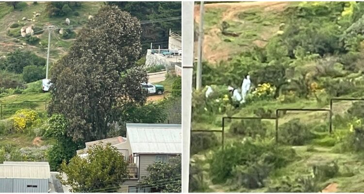 Encuentran cadáver en Viña del Mar