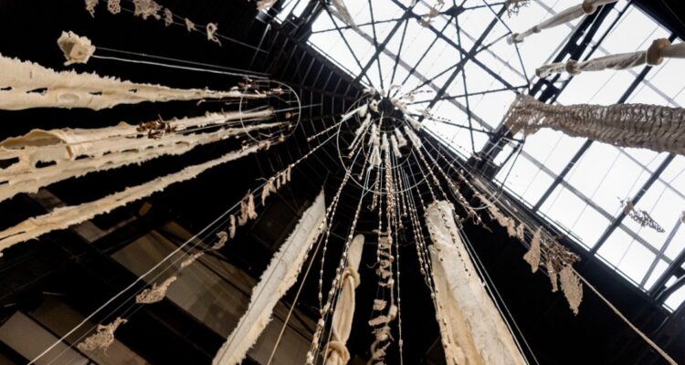 instalacion de cecilia vicuña