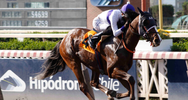 Clásico de la hípica Radio Bío Bío Chile 2022