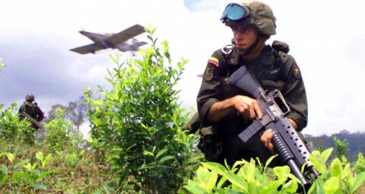 Colombia rompe récord histórico de cultivos de coca: más de 200.000 hectáreas de droga en 2021