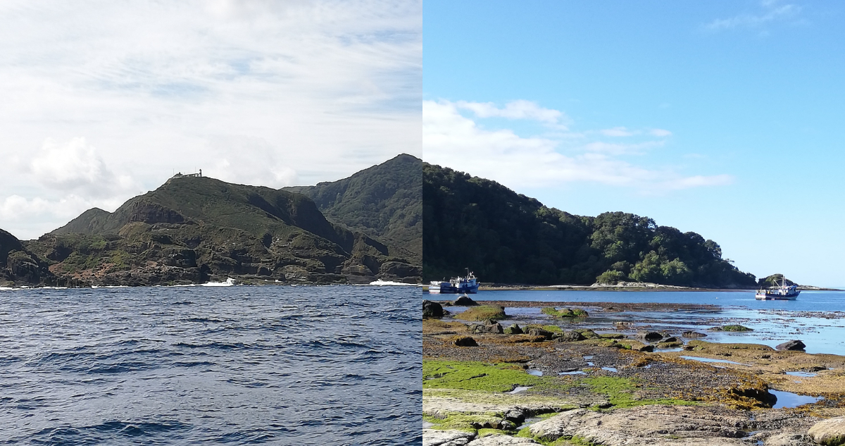 Fotos de Isla Guafo