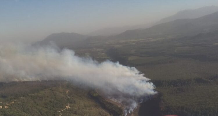 Imágenes del incendio camino al Radal Siete Tazas