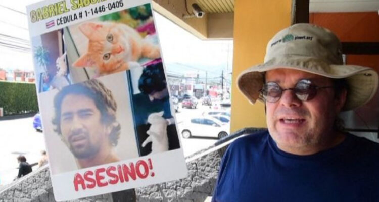 Lo lanzó de un sexto piso: condenan con dos años de cárcel a hombre que mató a su gato en Costa Rica