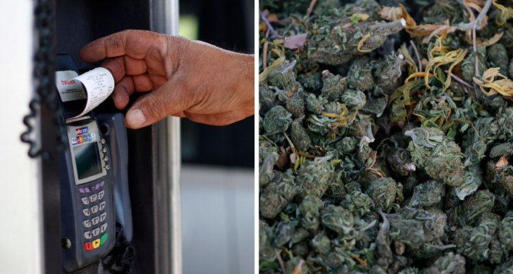 débito crédito marihuana Castro