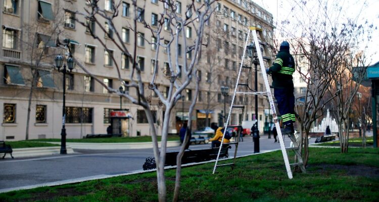 Tasa de desempleo llega a 8% en último trimestre móvil