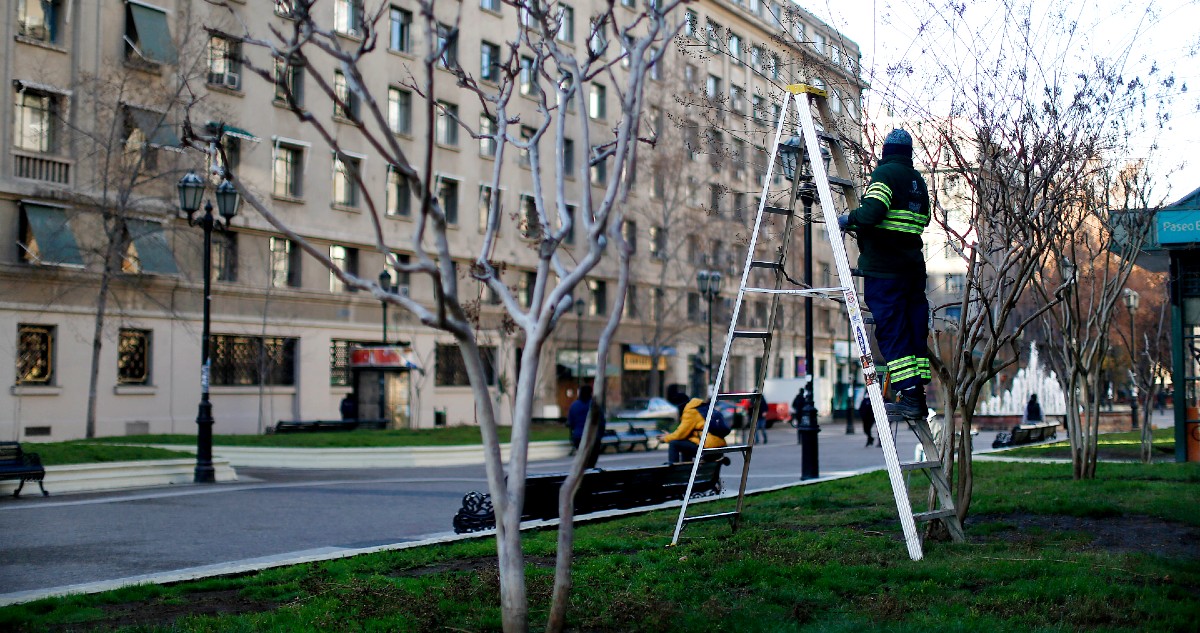 Tasa de desempleo llega a 8% en último trimestre móvil