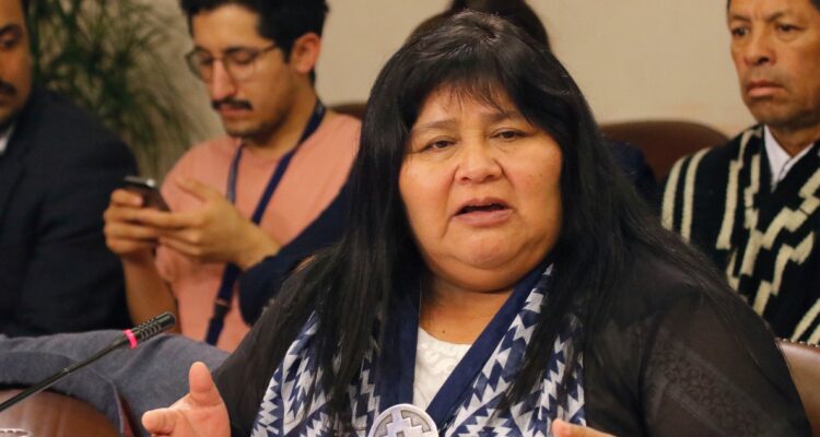 Diputada Nuyado pide mayor presupuesto para Conadi