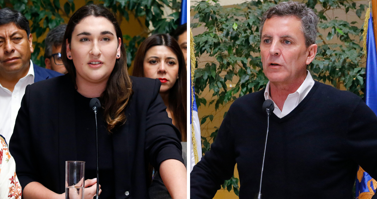 Diputada Schneider